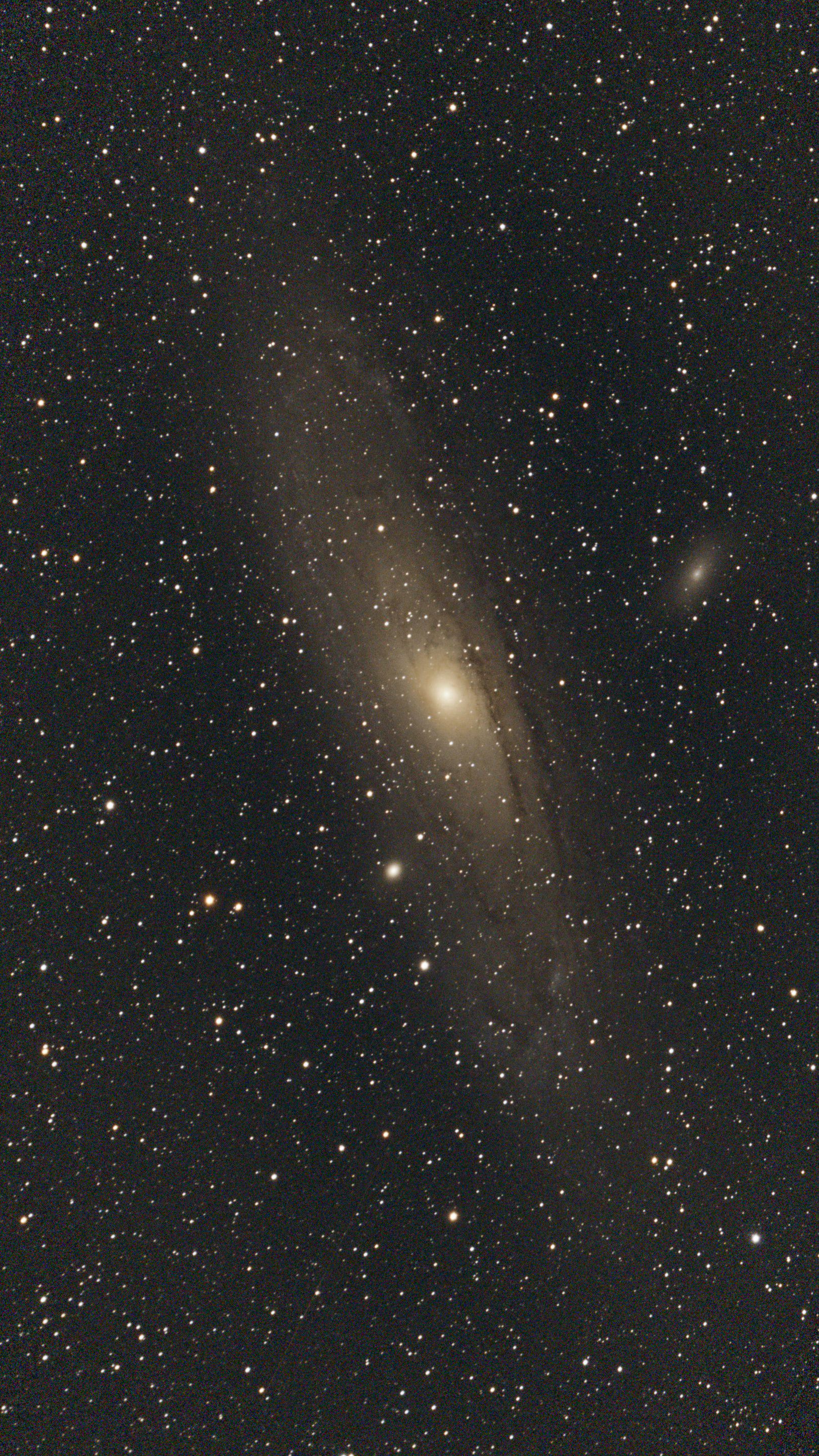M31 (Andromeda Galaxy)